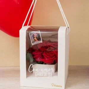 Decoración de Eventos Paletta